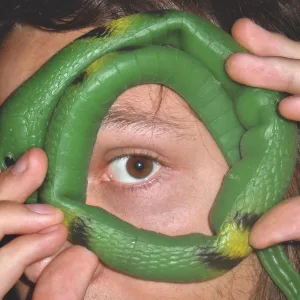 Ouroboros