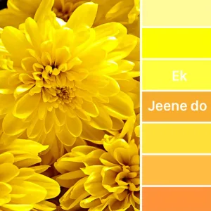 Jeenay do