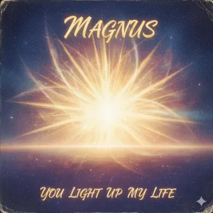 You Light Up My Life