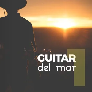 Guitar floyd