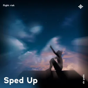 flight risk - sped up + reverb
