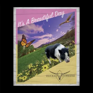 It's a Beautiful Day