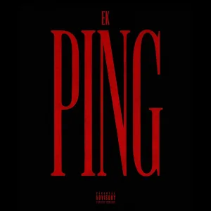 PING (DNB REMIX)
