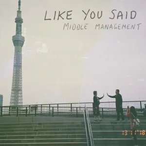 Like You Said