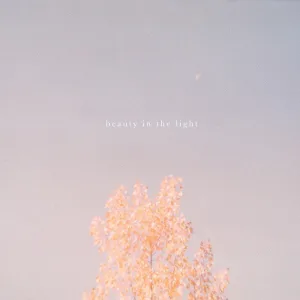 Beauty in the Light (Acoustic)