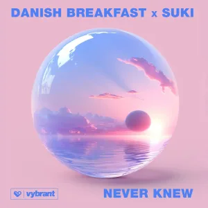 Never Knew