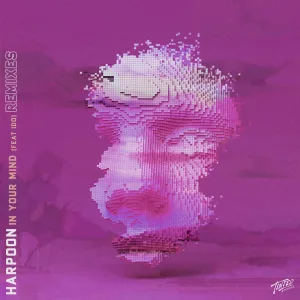 In Your Mind (feat. iDo) [Husky's BHM Deluxe Remix]