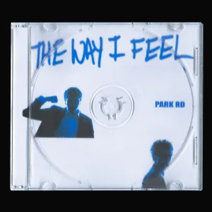 The Way I Feel