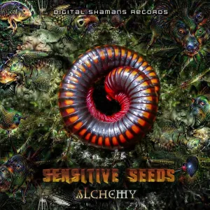 Alchemy (Original Mix)