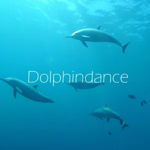 Dolphindance