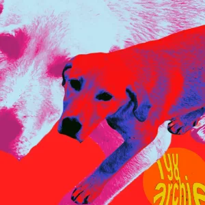 Spawn 2 Track 1 (feat. Alice Knight)