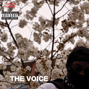 THE VOICE