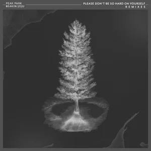 Please Don't Be so Hard on Yourself (BEAKIN Remix)