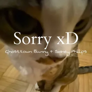 Sorry xD (feat. Sidney Phillips)