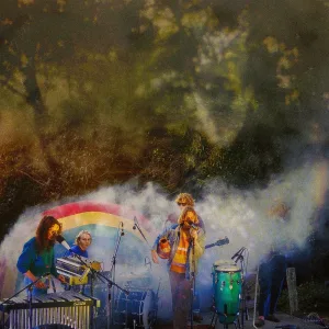 Monkey Disco (Live)