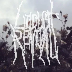 Haunt