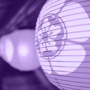 Hatsukoi