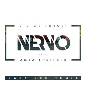 Did We Forget (feat. Amba Shepherd) (Lady Bee Remix)