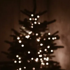 i hate this holiday