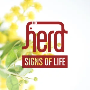 Signs Of Life