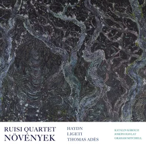 String Quartet in G Minor, Op. 20 No. 3, Hob. III:33: IV. Finale. Allegro molto