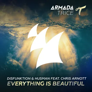 Everything Is Beautiful (extended mix)