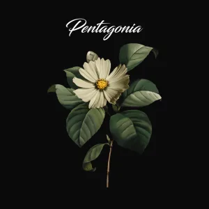Pentagonia