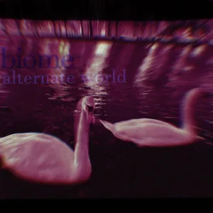 Alternate