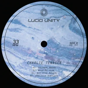 Orifice Dubplate
