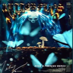 Butterflies (DICE, Paraçek Remix)