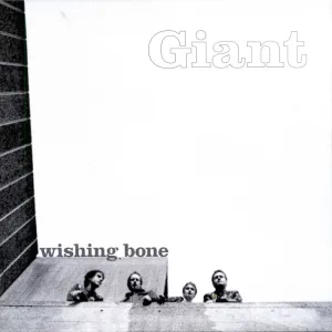 Wishing Bone