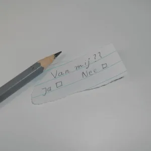 Van Mij? (feat. Raya & 2TooZenn)
