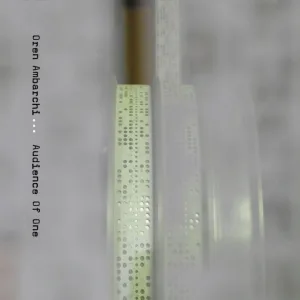 Fractured Mirror