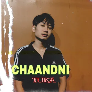 Chaandni