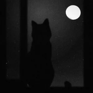 Várias noites acordado