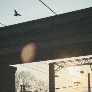 daylight