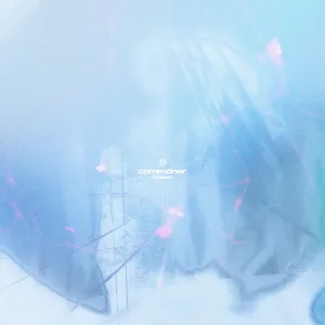Breach