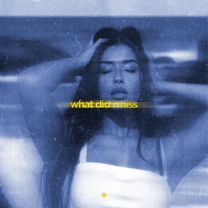 what did i miss (slowed & reeverb)
