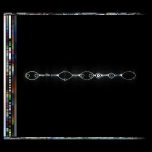 REWIRE