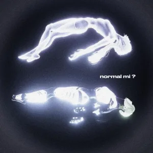 normal mi ?