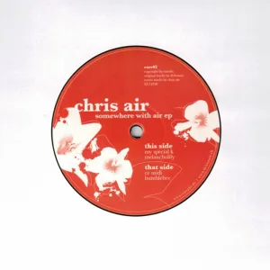 bumblebee (Chris Air Remix)
