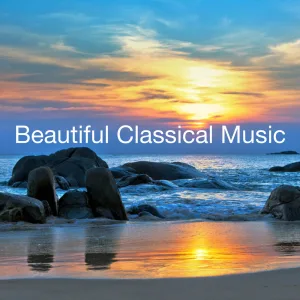 Sonata for Violin and Piano in G Minor, D. 408: II. Andante