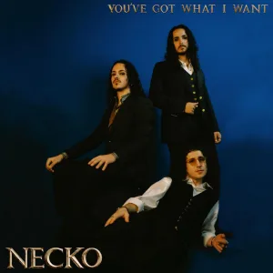 You've Got What I Want