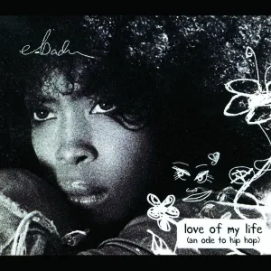Love of My Life (remix)