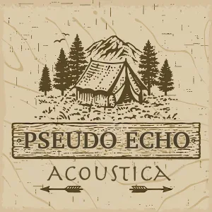 Listening (Acoustica)
