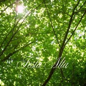 Testa Alta