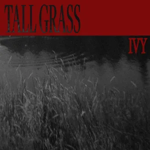 Tall Grass