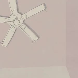 Ceiling Fan