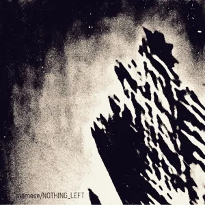 Nothing Left