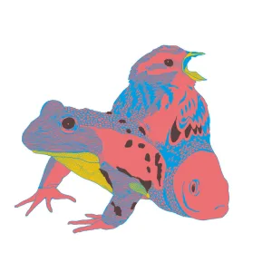 Cykle